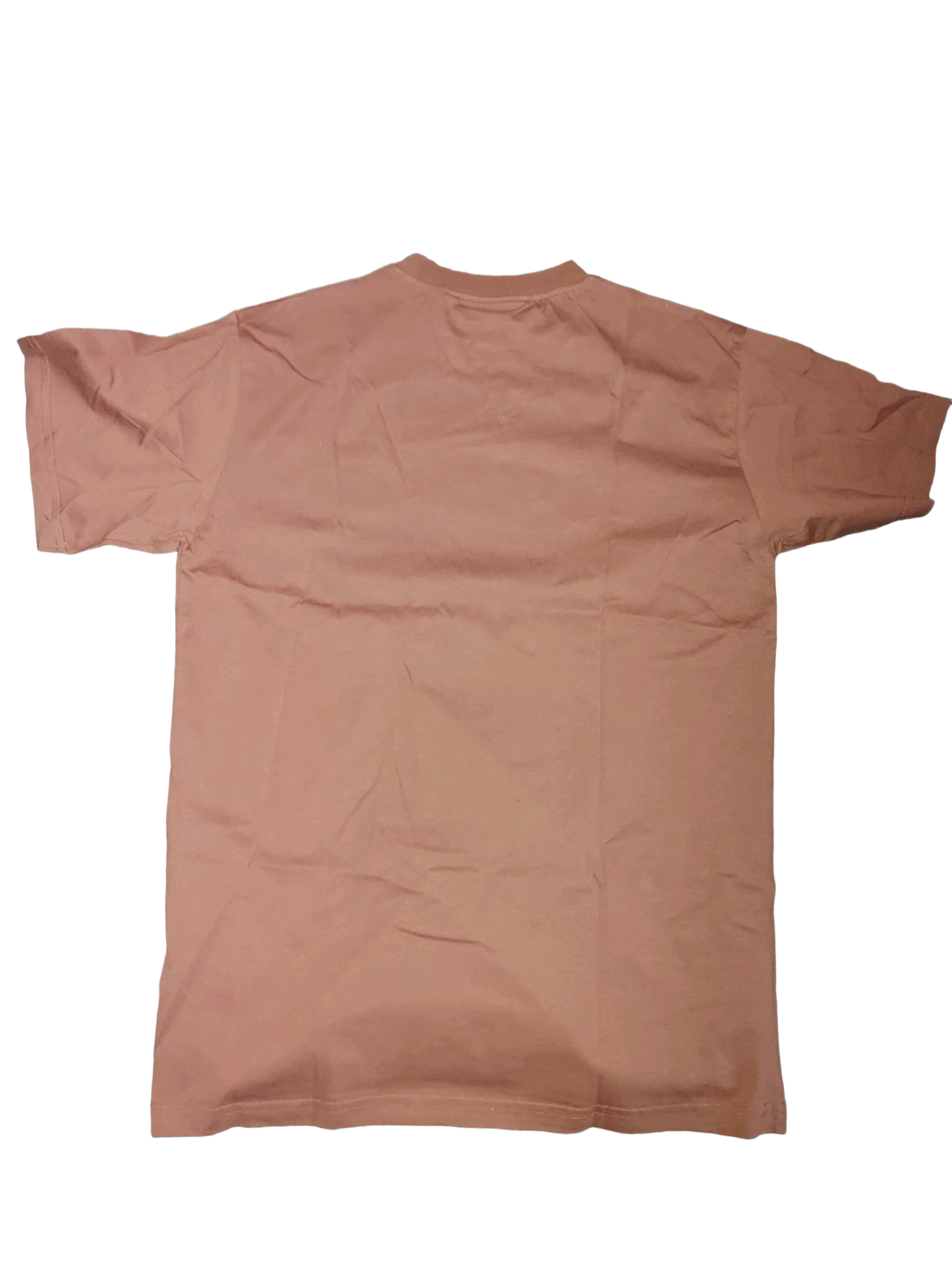 Trapstar London “It’s A Secret” Script Logo T-Shirt Brown Size M